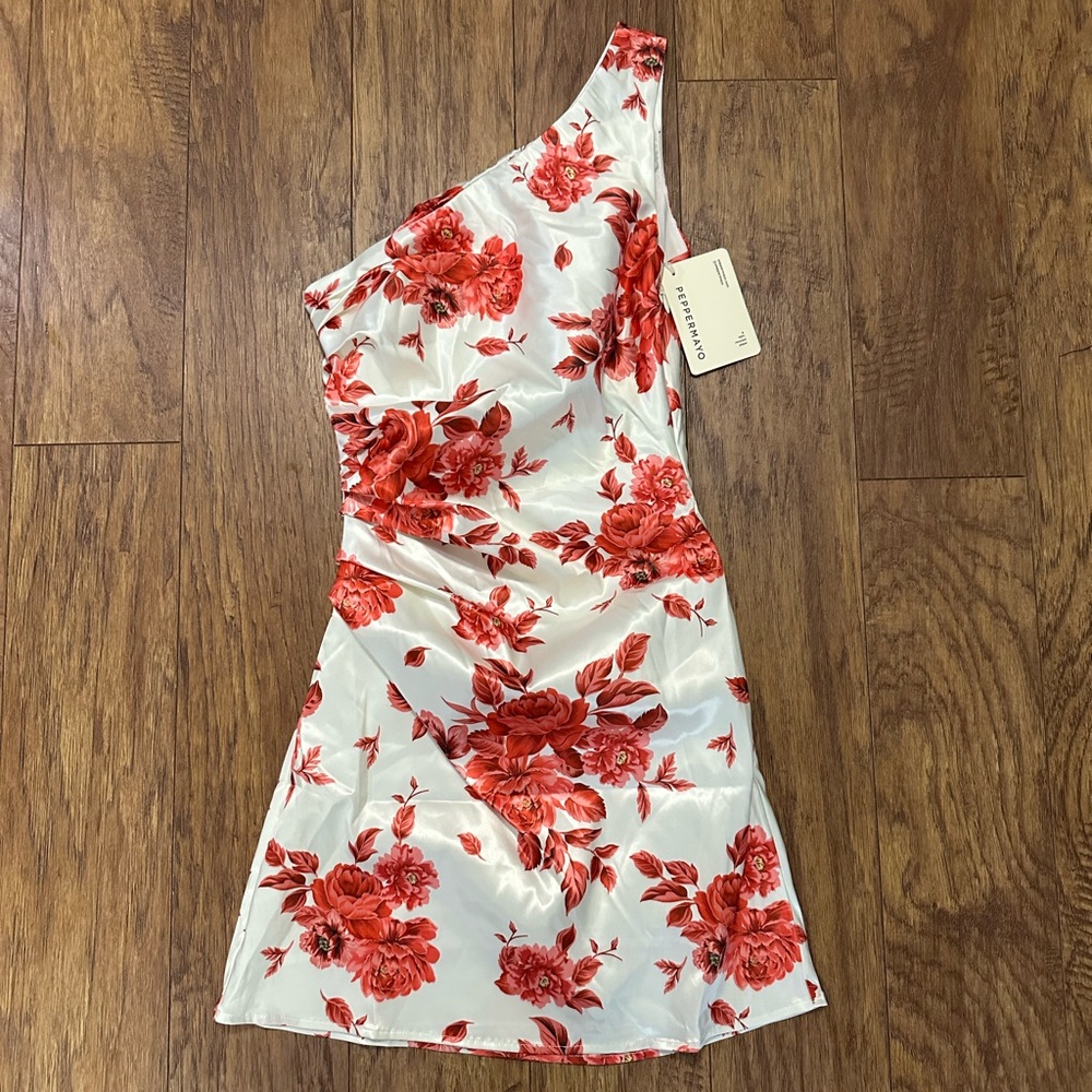 Peppermayo Dress